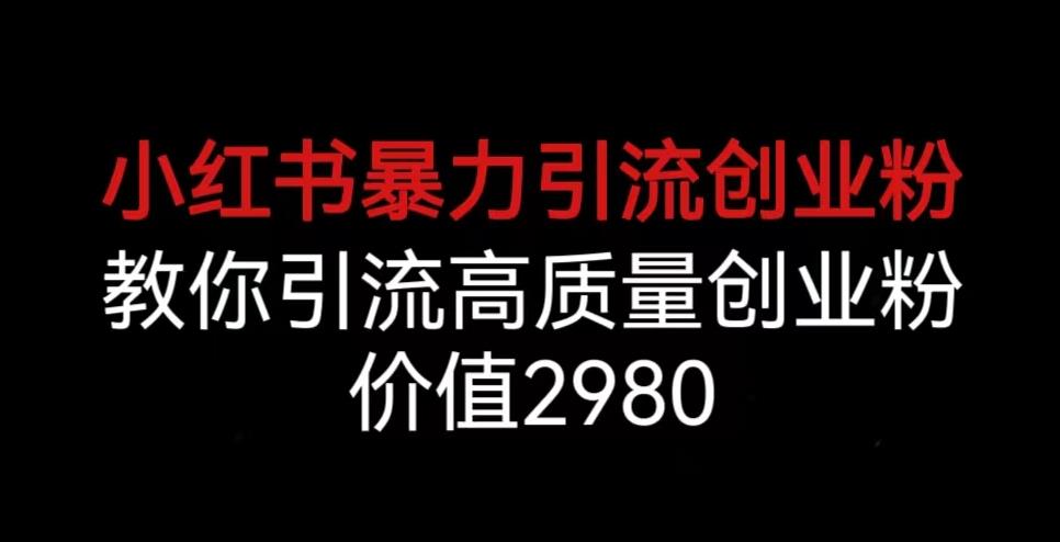 小红书暴力引流创业粉，教你引流高质量创业粉，价值2980