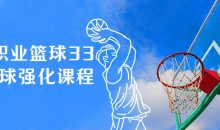 Art职业篮球33天运球强化课程