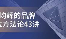 顾均辉的品牌定位方法论43讲