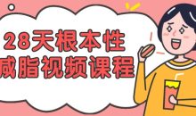 28天根本性减脂视频课程