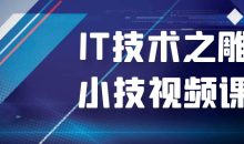 IT技术之雕虫小技视频课程