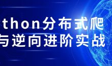 Python分布式爬虫与逆向进阶实战