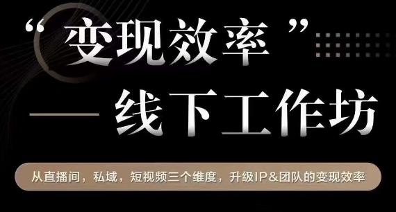 变现效率线下工作坊,从播直间、私域、视短频个三维度,升级IP和团队变现效率