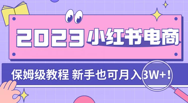 阿本小红书电商陪跑营4.0,带大家从0到1把小红书做起来
