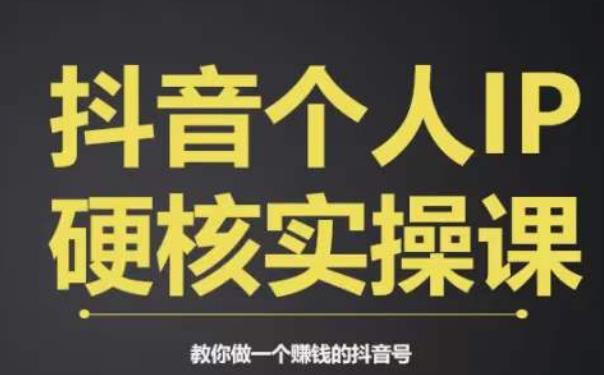 个人IP创富系统实战课,商业定位,流量打造,短视频变现,教你做个赚钱的抖音号