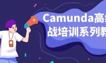 Camunda高级实战培训系列教程