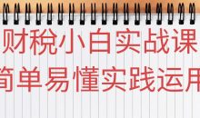 财稅小白实战课简单易懂实践运用