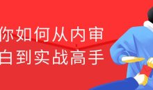 教你如何从内审小白到实战高手