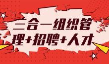 三合一组织管理+招聘+人才
