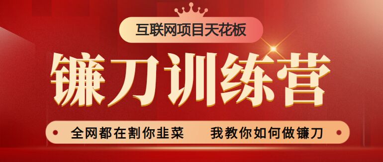 2024年普通人如何利用知识付费项目年入百万,实现财富自由
