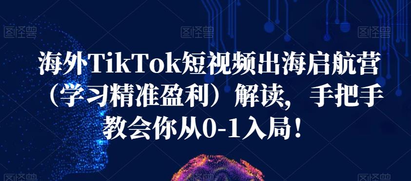海外TikTok短视频出海启航营精准盈利
