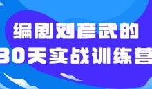 编剧刘彦武的30天实战训练营