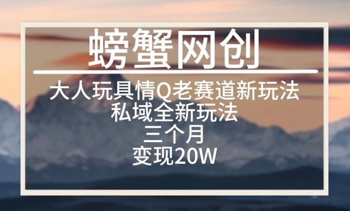 大人玩具情Q用品赛道私域全新玩法,三个月变现20W,老项目新思路