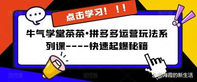 牛气学堂茶茶•拼多多运营玩法－快速起爆秘籍