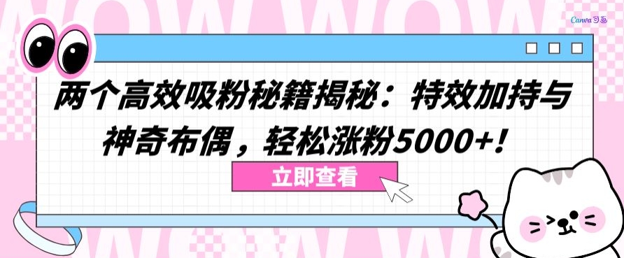 两个高效吸粉秘籍揭秘:轻松涨粉5000+