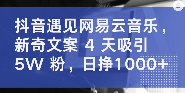抖音遇见网易云音乐,新奇文案 4 天吸引 5W 粉日挣1000+