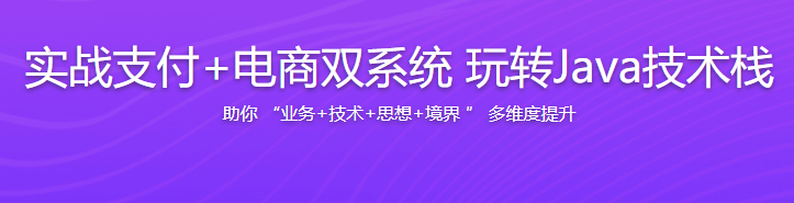 实战支付+电商双系统 玩转Java技术栈教程