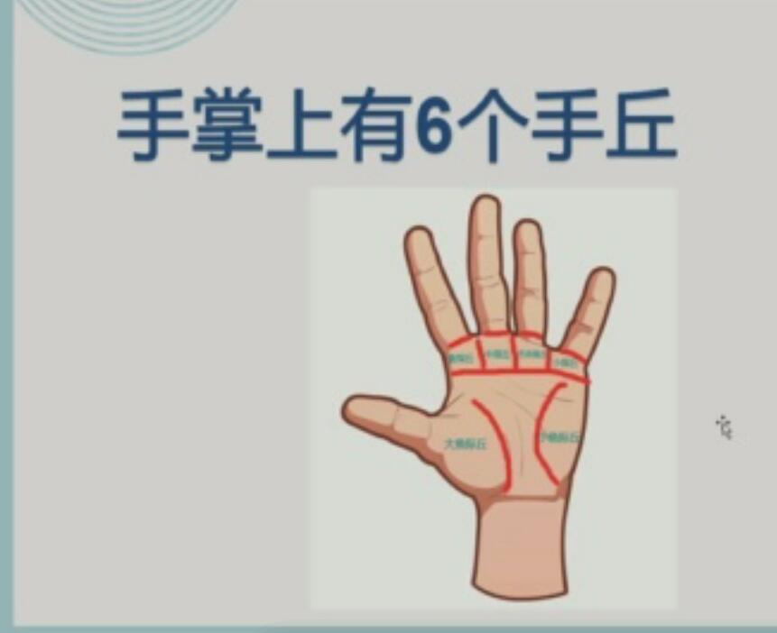 九龙道长辅导老师-静心老师-手相课程