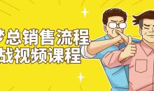 梦梦总销售流程实战视频课程