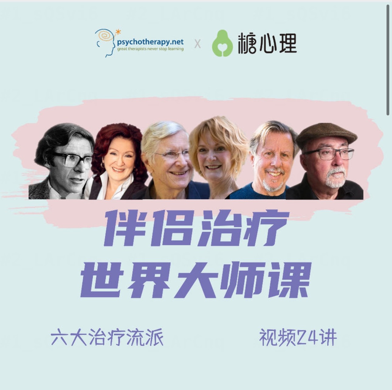 伴侣治疗世界大师课,重建亲密关系的六个思路,六大流派视频24讲