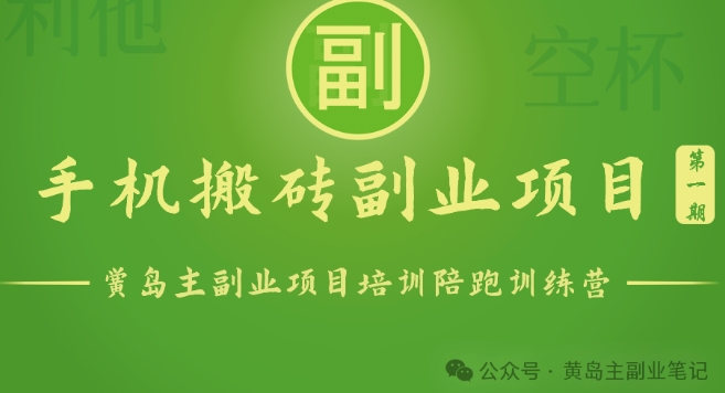 手机搬砖小副业项目训练营1.0一部手机轻松日入100+