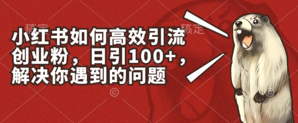 小红书如何高效引流创业粉,日引100+,解决你遇到的问题【揭秘】