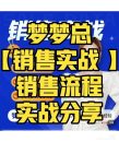 梦梦总-销售心法-销售落地实战分享技巧