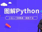 马士兵Python小白萌新入门到精通教程