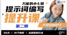 小七姐提示词编写提升课30天16个课时