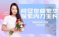 花神妙的直播间探索内力成长知识