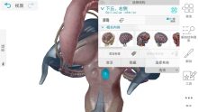 人体解剖学医学四件套App附教程