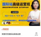 阿里国际站高级运营班跨境批发平台