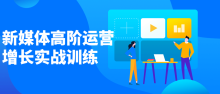 新媒体高阶运营增长实战训练教程
