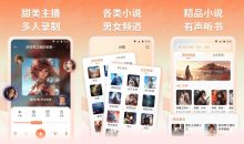 有声小说v1.0.3谷歌版/听书语音小说