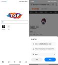 Top浏览器v4.6.8支持嗅探下载广告拦截