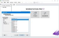 VMware Workstation PROv17.0.1正式版