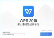 WPS佛山市政扶专业版有效期到2026年