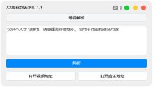 全网短视频去水印XX短视频去水印v1.1