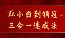 从小白到销冠三合一速成法