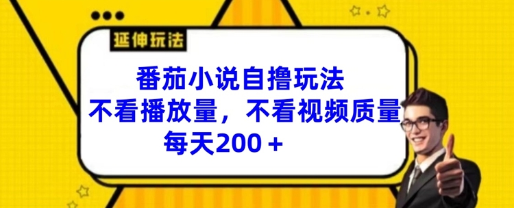 番茄小说自撸玩法,不看播放量,不看视频质量