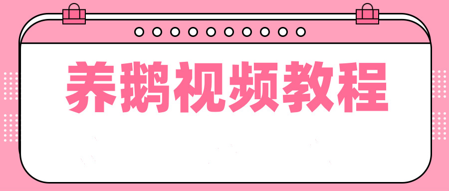 养鹅技术视频教程