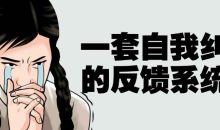 一套自我纠错的反馈系统课