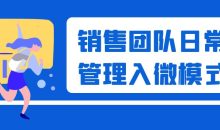 销售团队日常管理入微模式