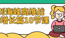 刘海峰高维战略增长篇10节课