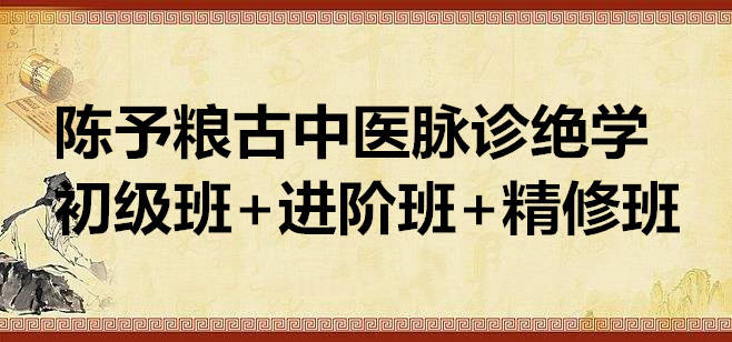 陈予粮 古中医脉诊绝学初级班+进阶班+精修班 60G