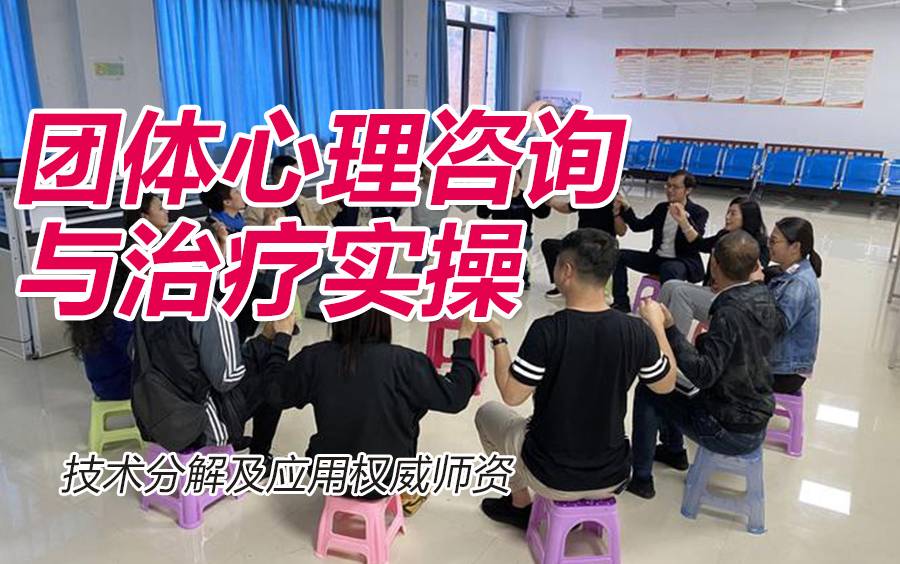 团体心理咨询与治疗实操,技术分解及应用 权威师资 60+课时140节高清视频完整版