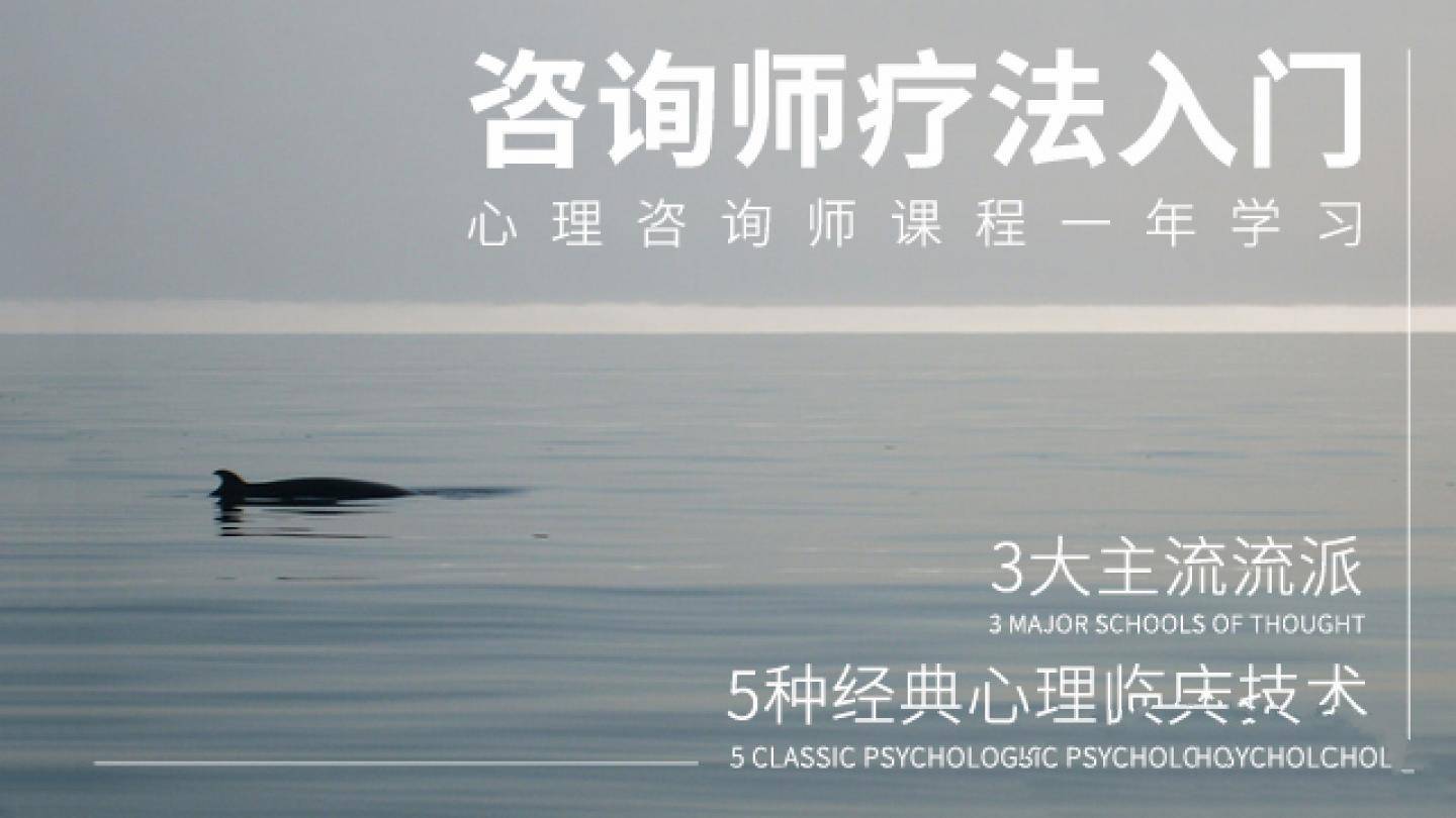 壹心理：心理咨询技术与疗法入门_心理咨询师疗法入门课程