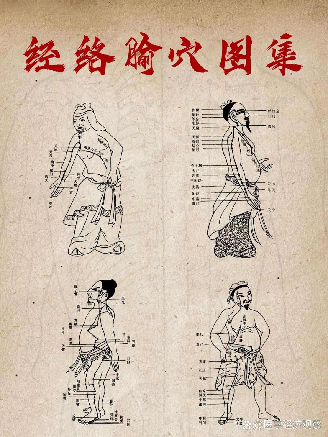 医承有道学堂 中医人必学的经络课 记住经络，找准穴位