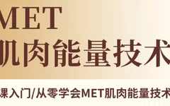 环太平洋学院-MET肌肉能量技术