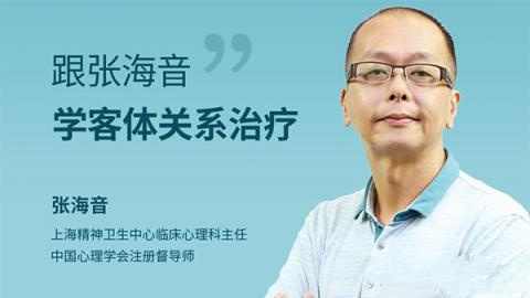 跟张海音学客体关系治疗 网络课程10讲高清视频